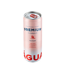 Água Mineral Com Gás Lindoia Premium 350ml