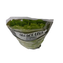 Alface Lisa Orgânica