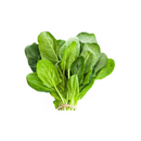 Espinafre Jfc Unidade