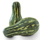 Abóbora Caipira STM Kg