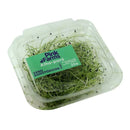 Alho-Poró Microgreen Pink Farms 25g