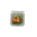 Cenoura Pink Farms Microverdes 25g