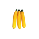 Abobrinha Italiana Amarela Kg