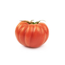 Tomate Mediterraneo Kg