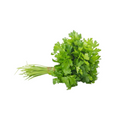 Salsa Lisa Comum Caisp Unidade