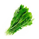 Rúcula Gourmet TOMITA 170g