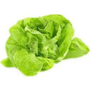 Alface Lisa Gourmet TOMITA 170g