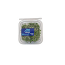 Rúcula Pink Farms Microverdes 25g