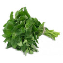 Espinafre Gourmet TOMITA 170g