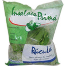 Salada INSALATA PRIMA Rúcula 150g